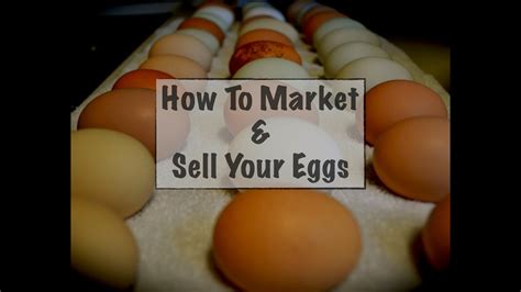 How much can i sell my eggs for. Things To Know About How much can i sell my eggs for. 